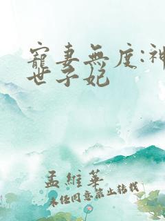 宠妻无度:神医世子妃
