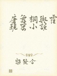 唐舞桐与霍雨浩亲密小说