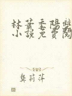 林萧季阳双男主小说免费阅读