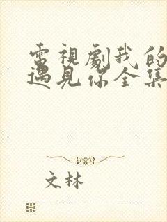 电视剧我的青春遇见你全集免费观看