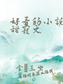 好看的小说言情甜宠文