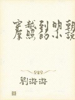 穿越到明朝成朱厚照的小说