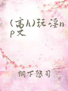 (高h)玩淫np文