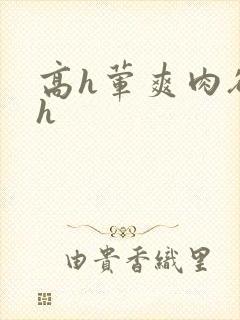 高h荤爽肉欲文h