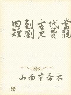 回到古代当画圣短剧免费观看