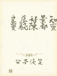 良辰好景知几何窦骁陈都灵