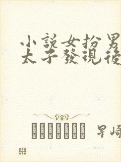 小说女扮男装被太子发现后