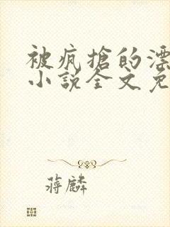 被疯抢的漂亮攻小说全文免费阅读无弹窗