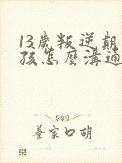 13岁叛逆期男孩怎么沟通