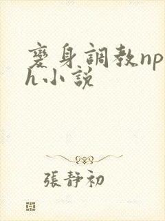 变身调教np高h小说