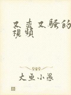 又爽又骚的考逼视频