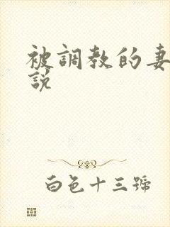 被调教的妻奴小说