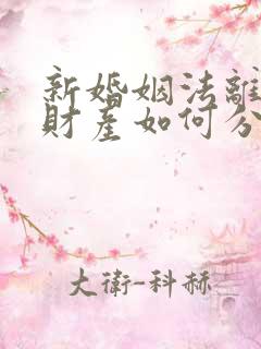 新婚姻法离婚后财产如何分配