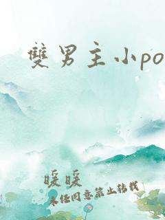 双男主小po文