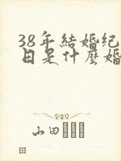 38年结婚纪念日是什么婚