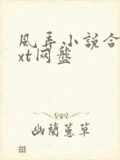 风弄小说合集txt网盘