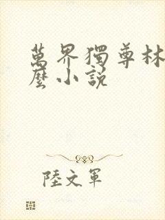 万界独尊林枫什么小说