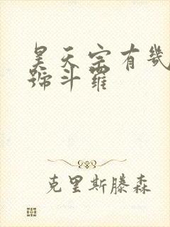 昊天宗有几个封号斗罗