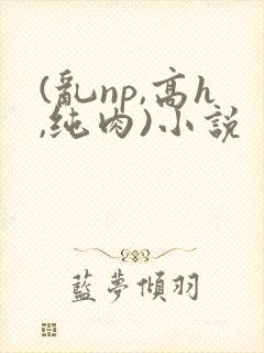 (乱np,高h,纯肉)小说