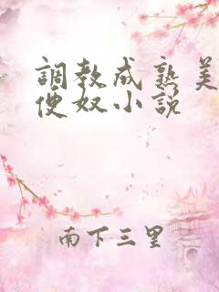 调教成熟美妇肉便奴小说