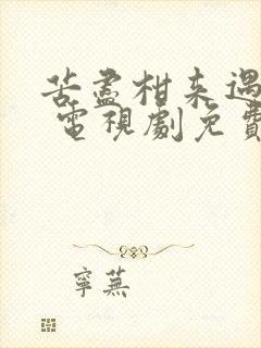 苦尽柑来遇见你 电视剧免费