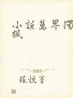 小说万界独尊林枫