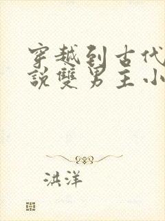 穿越到古代的小说双男主小说