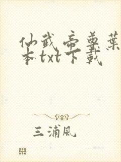 仙武帝尊叶辰全本txt下载