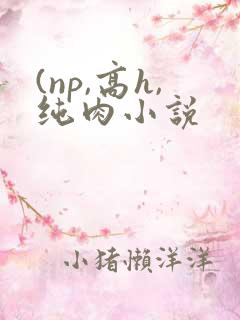 (np,高h,纯肉小说