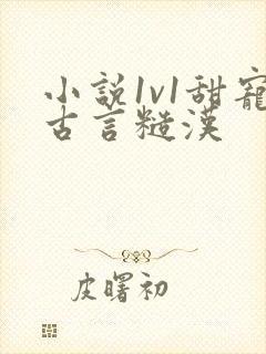 小说1v1甜宠古言糙汉