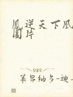 凤逆天下凰北月图片