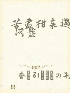 苦尽柑来遇见你 网盘