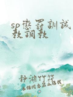 sp惩罚训诫管教调教