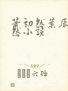 萧初然叶辰萧初然小说