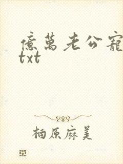 亿万老公宠上瘾txt