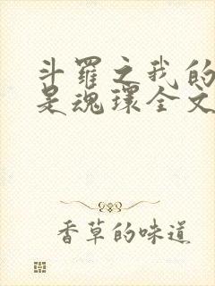 斗罗之我的武魂是魂环全文