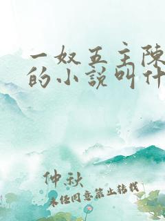 一奴五主陈茹默的小说叫什么