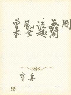 曾风流无删减全本笔趣阁