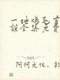 一地鸡毛有声小说全集免费听