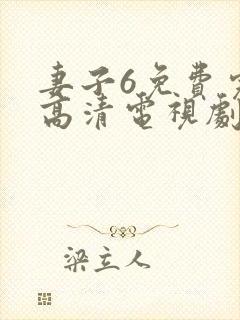 妻子6免费完整高清电视剧在线看