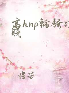 高hnp轮骚浪贱