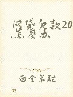 网贷欠款20万,怎么办