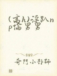 (高h)淫趴np伦男男