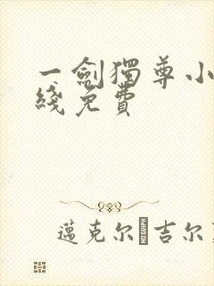 一剑独尊小说在线免费