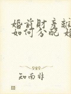 婚前财产离婚后如何分配 婚姻法规定