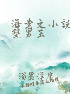 海棠文小说推荐双男主