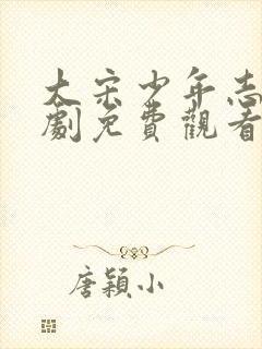 大宋少年志电视剧免费观看高清完整版