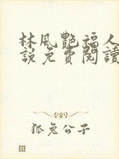 林风艳福人生小说免费阅读