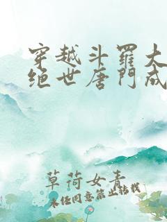 穿越斗罗大陆2绝世唐门成为霍雨浩的小说