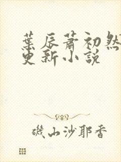 叶辰萧初然最快更新小说